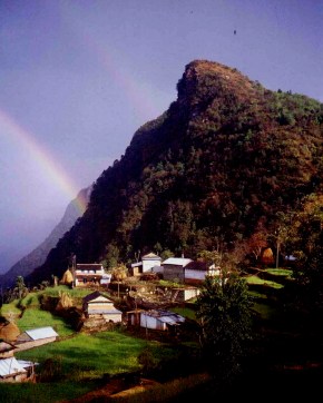 00012004050900500167