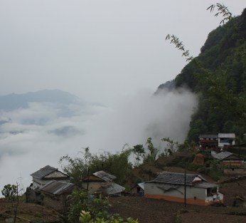 IMG_2785 - Version 2