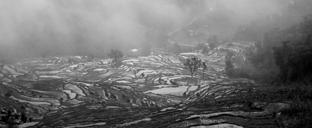 IMG_3282 - Version 2